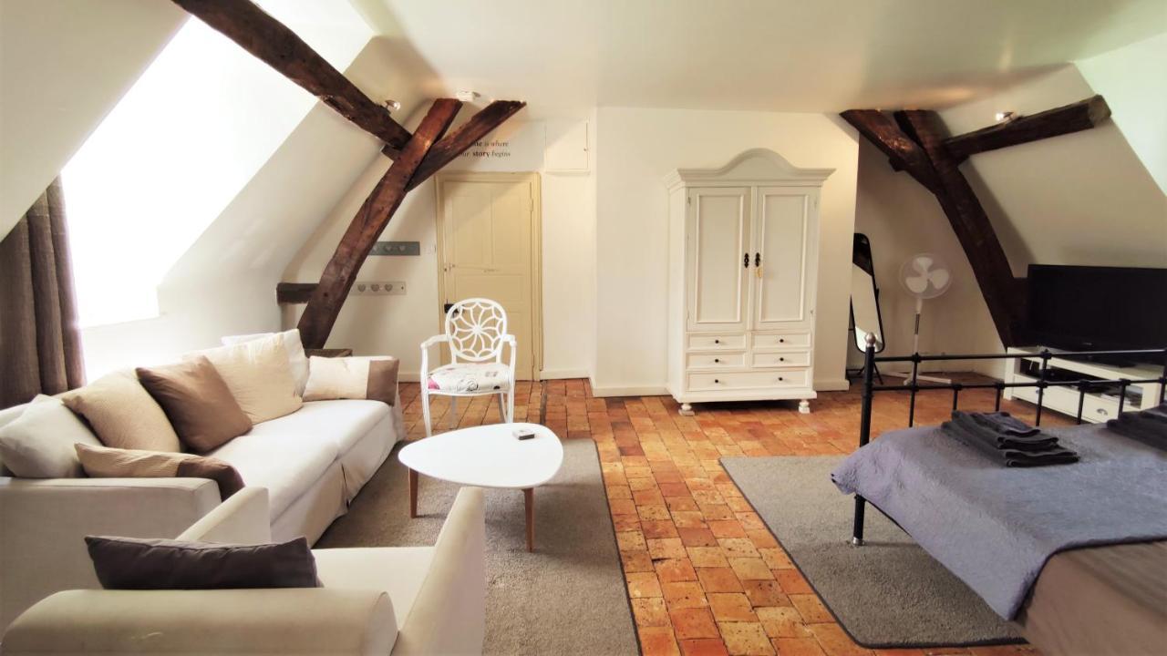 Chateau La Mothaye - Self Catering Apartments With Pool In The Loire Valley Les Bois-d'Anjou Экстерьер фото